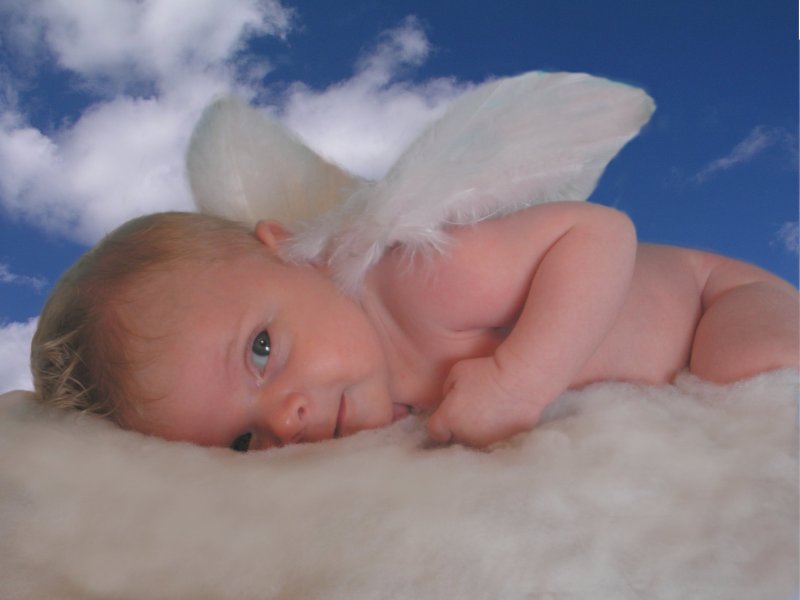 Sebastion Osiris Fox -
                        Earth Angel